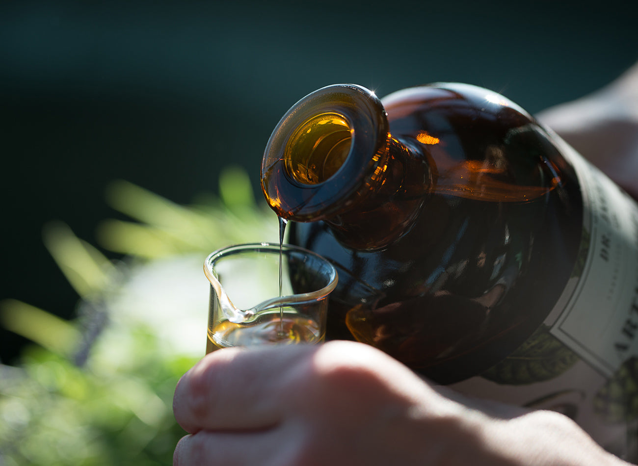 Dr Jaglas Artischocken Elixier mit Dosierer in Degustationsglas