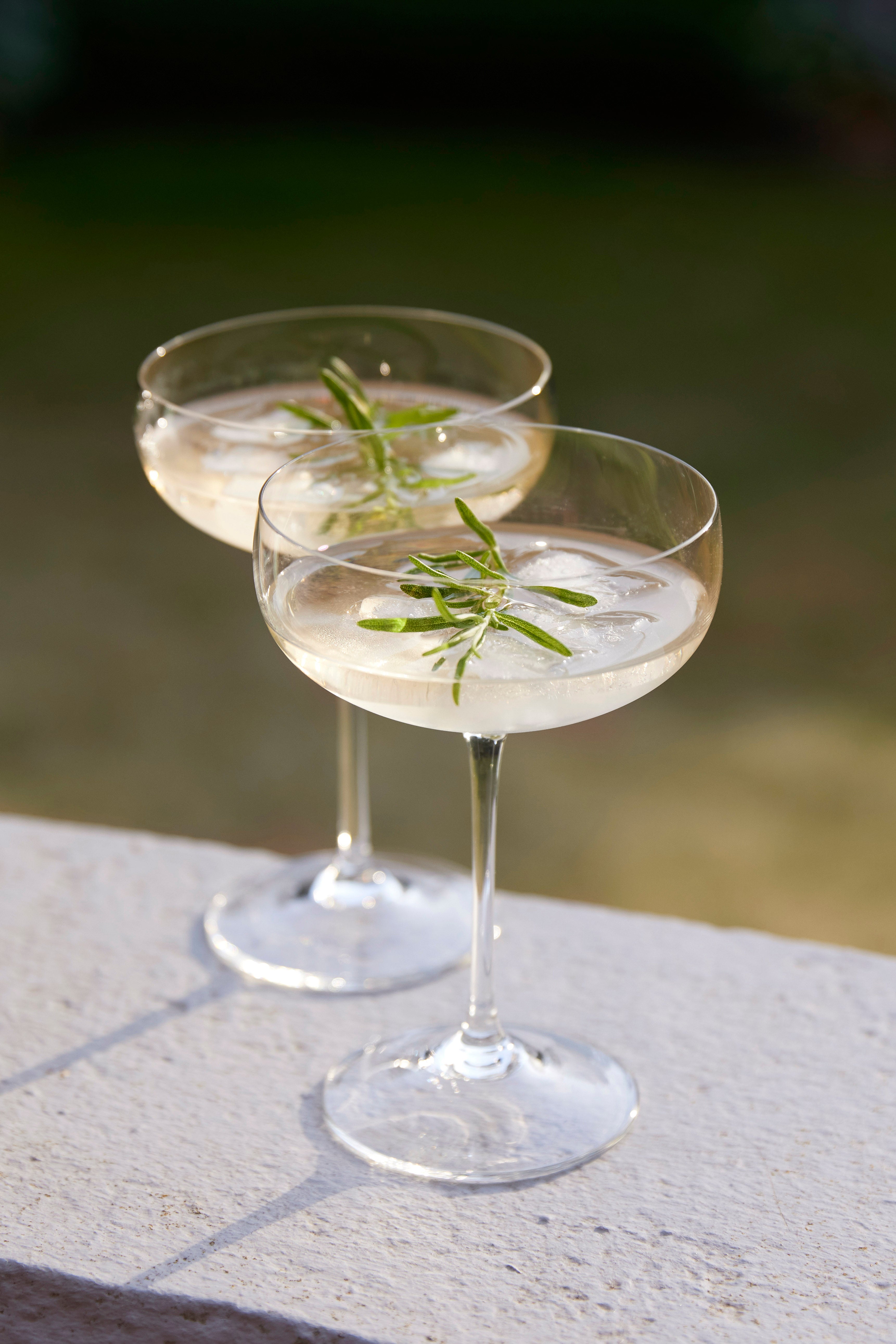 Dr Jaglas Martini