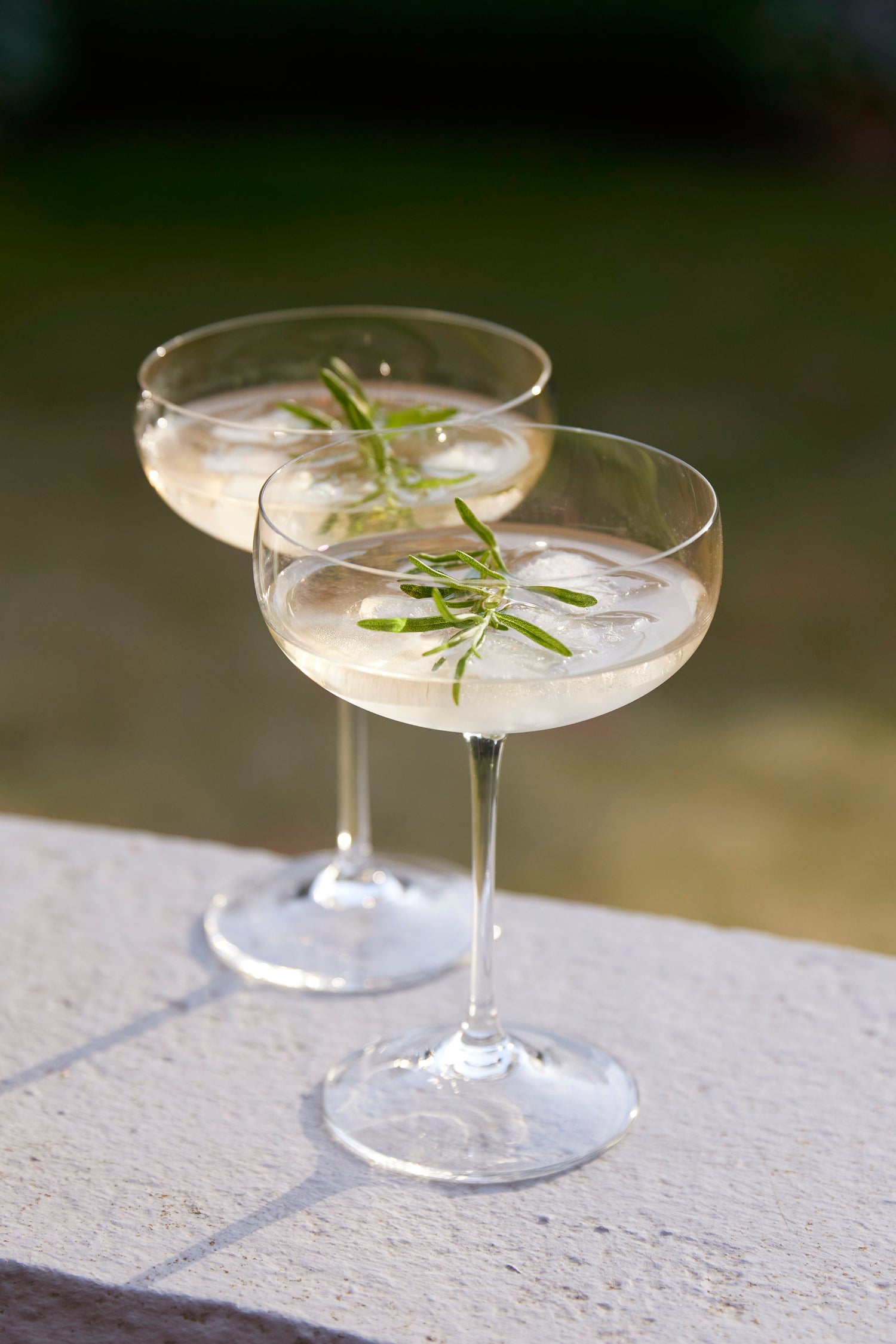 Dr Jaglas Martini